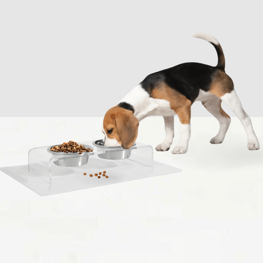 Hiddin Clear Acrylic Double Feeder with Silver Bowls – 3 in High