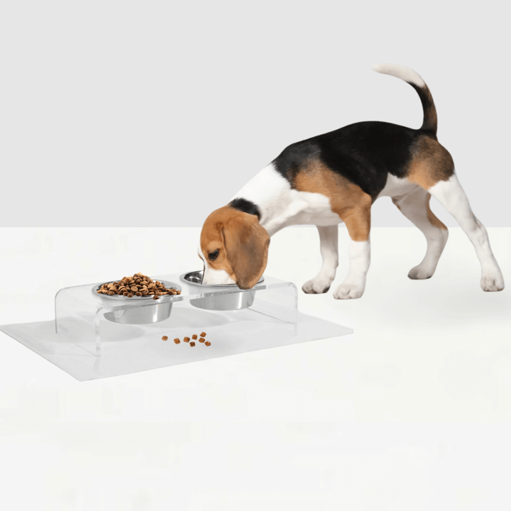 Hiddin Clear Acrylic Double Feeder with Silver Bowls – 3 in High