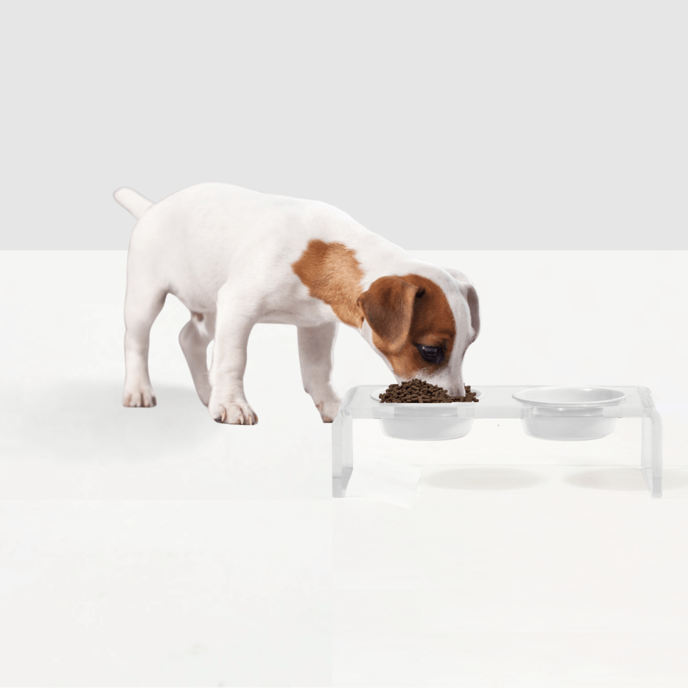 Hiddin Clear Acrylic Double Feeder with Black or White Bowls – 3 in High