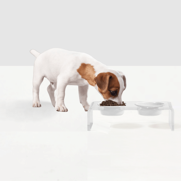 Hiddin Clear Acrylic Double Feeder with Black or White Bowls – 3 in High