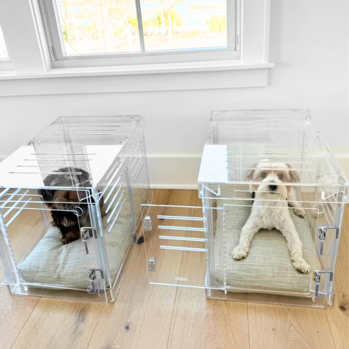 Hiddin Clear Acrylic Dog Crate – Small, Silver Latch