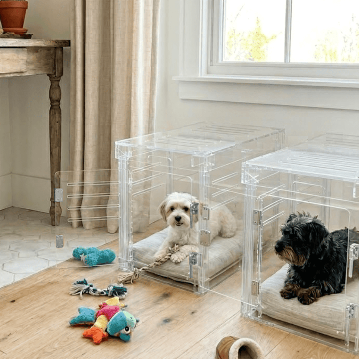 Hiddin Clear Acrylic Dog Crate – Small, Silver Latch