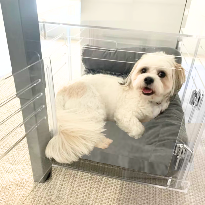 Hiddin Clear Acrylic Dog Crate – Small, Silver Latch