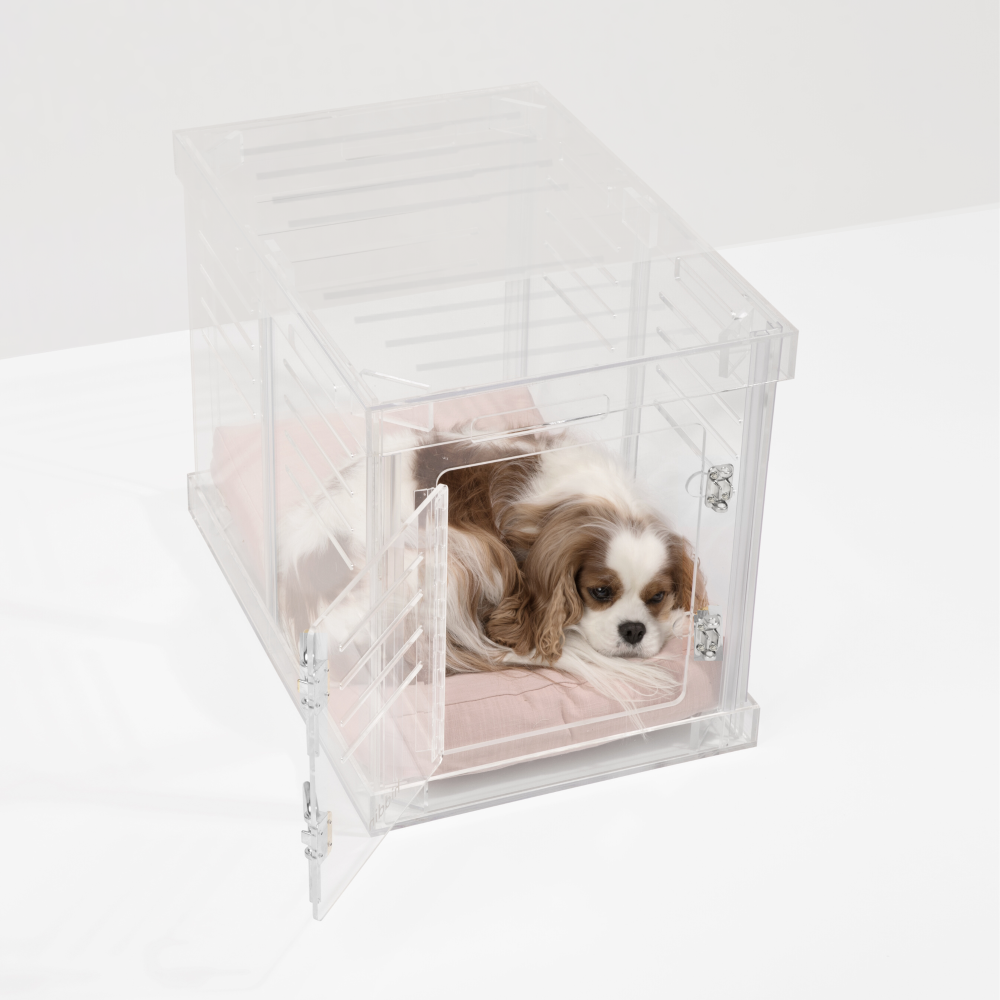 Hiddin Clear Acrylic Dog Crate – Small, Silver Latch