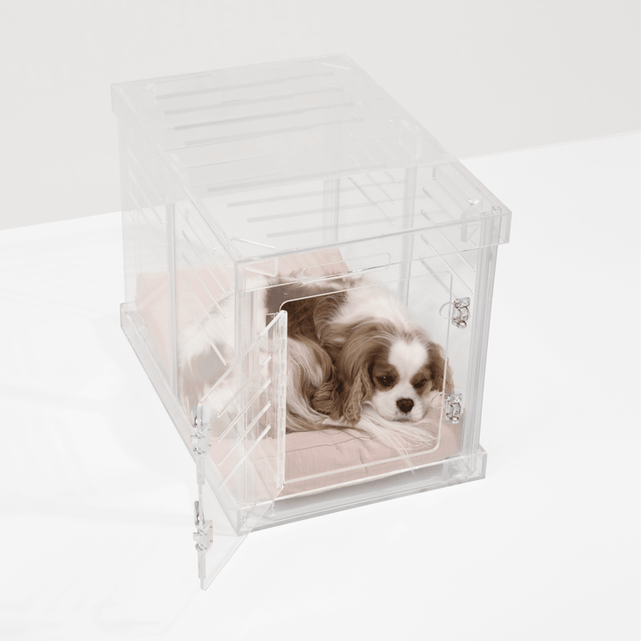 Hiddin Clear Acrylic Dog Crate – Small, Silver Latch