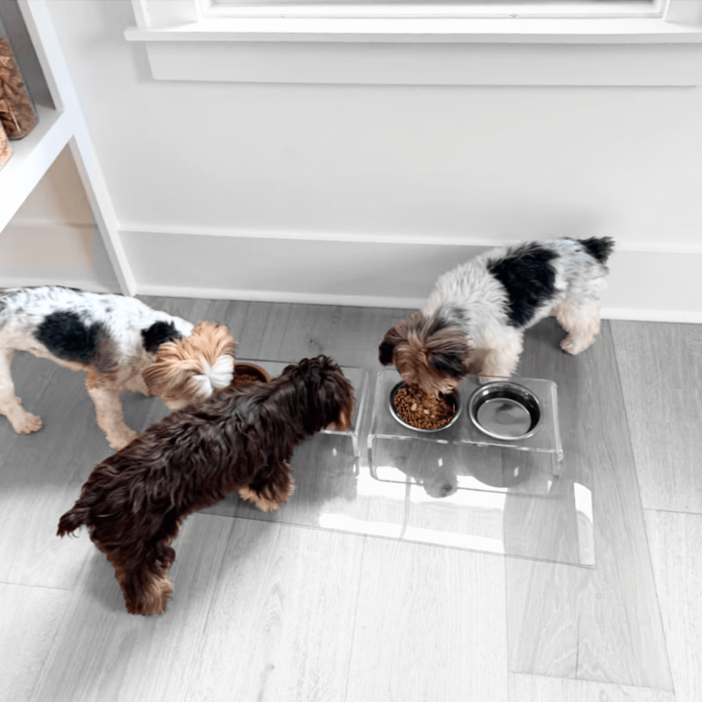 Hiddin Clear Acrylic Double Feeder with Silver Bowls – 3 in High