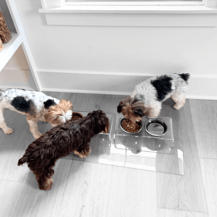 Hiddin Clear Acrylic Double Feeder with Silver Bowls – 3 in High