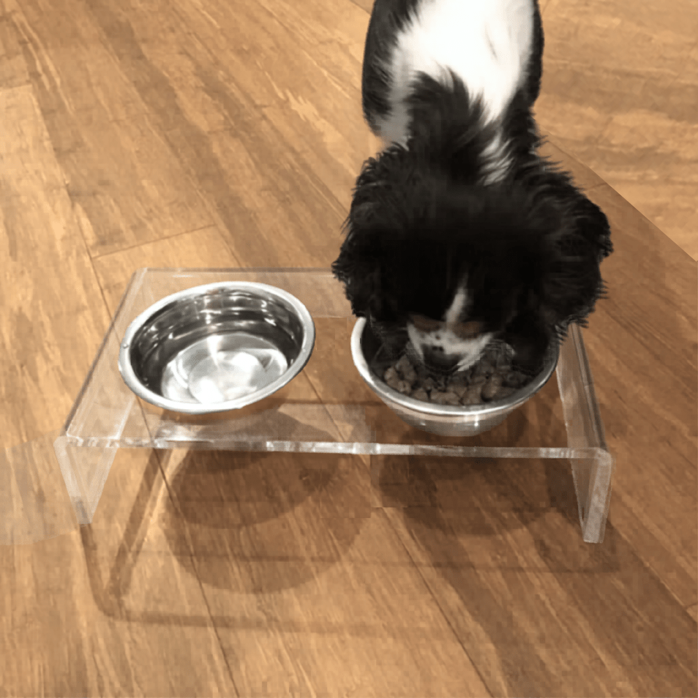 Hiddin Clear Acrylic Double Feeder with Silver Bowls – 3 in High