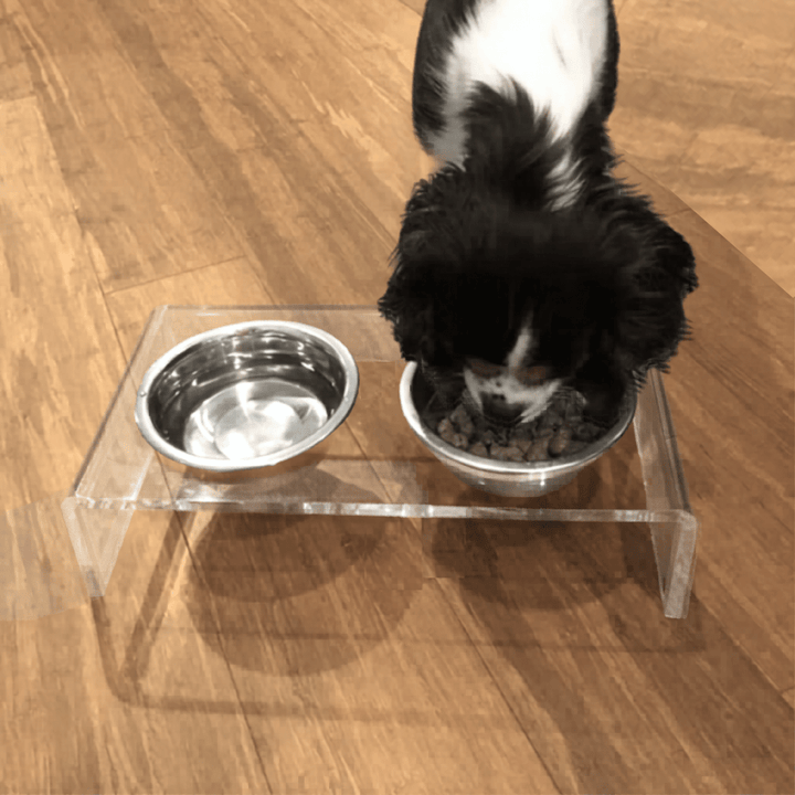 Hiddin Clear Acrylic Double Feeder with Silver Bowls – 3 in High