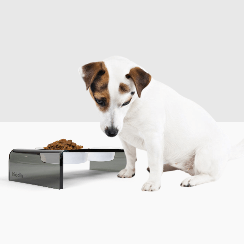 Hiddin Smoke Grey Acrylic Double Feeder – 3 in High
