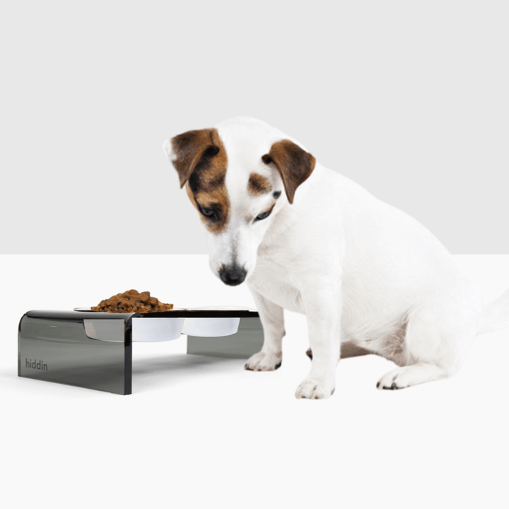 Hiddin Smoke Grey Acrylic Double Feeder – 3 in High