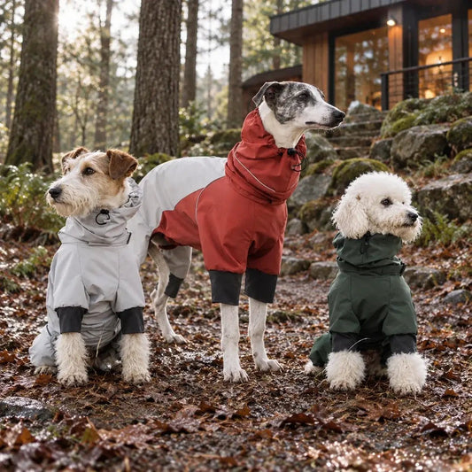 SOCKPET Spring Dog Rainproof Jacket set; three dogs wearing red, gray and green rain coats.