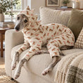 Load image into Gallery viewer, Whippet and Greyhound dinosaur cotton dog pajamas in cream with brown dinos, by SOCKPET
