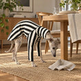 Cargar la imagen en la vista de la galería, Whippet & Greyhound striped shirt for pets, black-and-white striped costume
