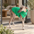 Load image into Gallery viewer, Whippet and Greyhound Spring Vest in bright green with PetStyle label
