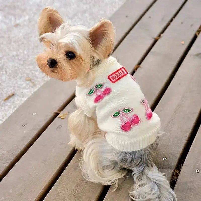 Small Dog Cherry Print Sweater by SOCKPET, white knit with pink cherries.