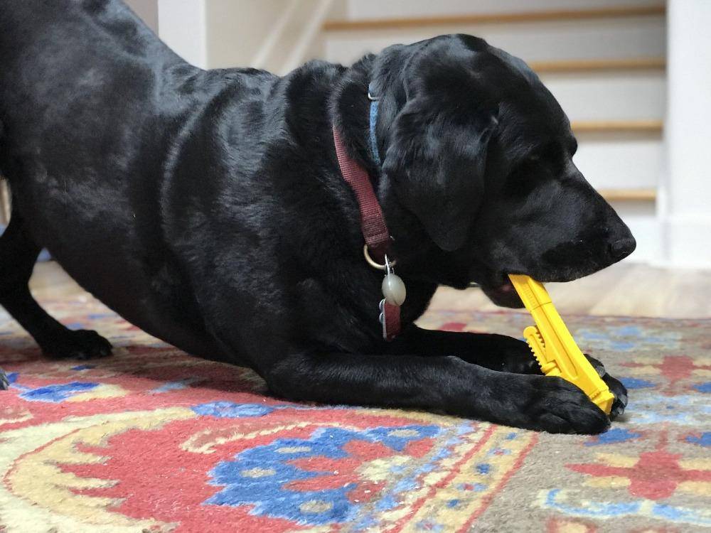 SodaPup Pipe Wrench nylon dog chew toy in yellow or brown, view 10