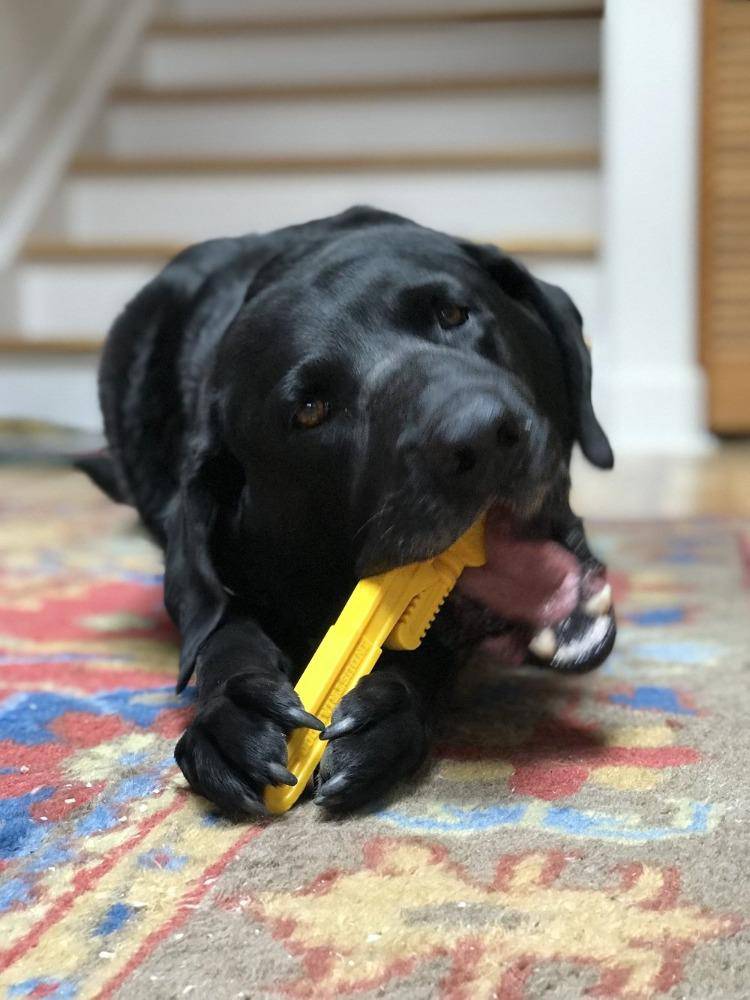 SodaPup Pipe Wrench nylon dog chew toy in yellow or brown, view 8