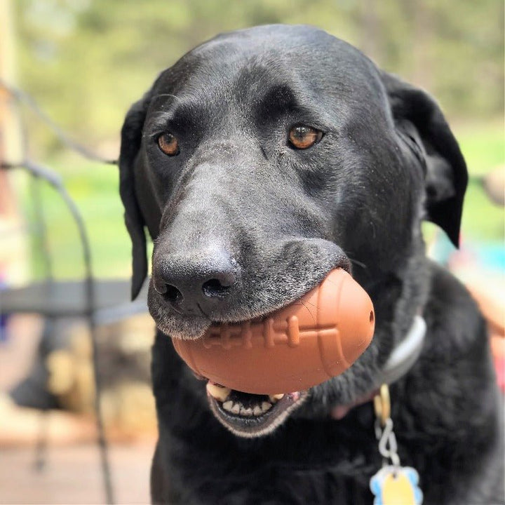 SodaPup Football natural rubber dog toy treat dispenser, view 9