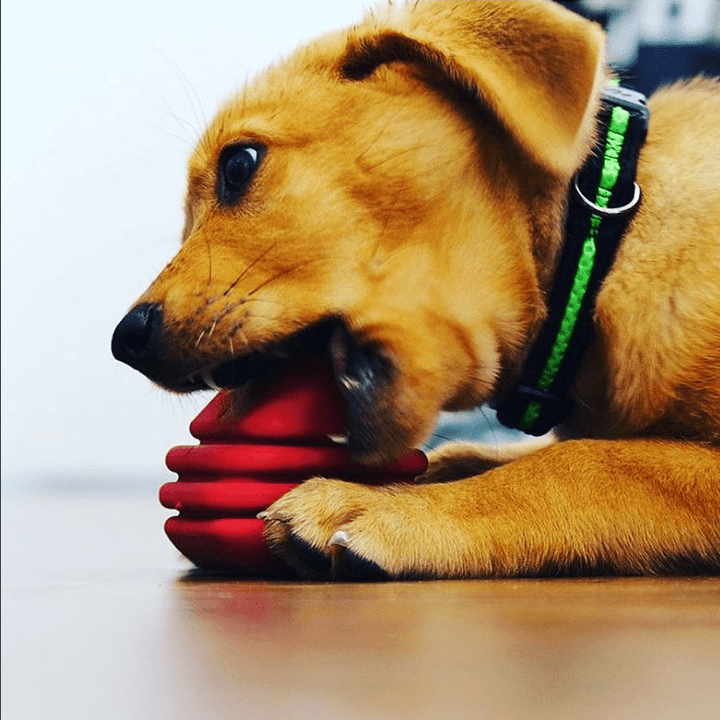 SodaPup heart-shaped rubber dog toy with string handle, view 10