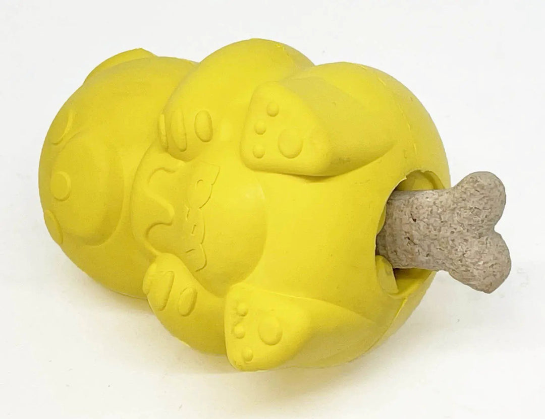 SodaPup Honey Bear rubber eDispenser treat toy, view 7