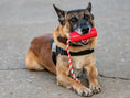 Charger l'image dans la visionneuse de la galerie, USA-K9 Firecracker Floating Training Dummy | K9 Handler Reward Toy | Red | USA Made
