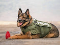 Gallery viewerに画像を読み込む, USA-K9 Grenade Rubber Dog Chew Toy Ultra Durable Heavy Duty Red Blue by SodaPup/True Dogs, LLC
