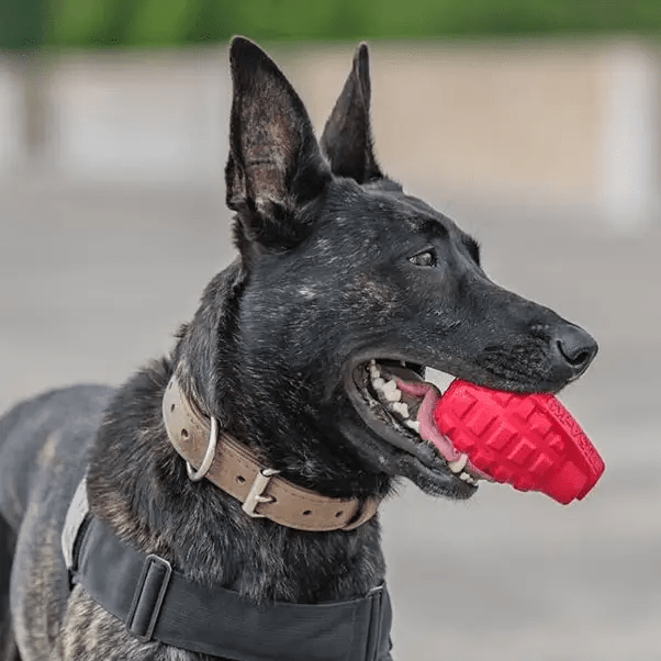 USA-K9 Grenade Rubber Dog Chew Toy Ultra Durable Heavy Duty Red Blue by SodaPup/True Dogs, LLC