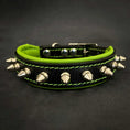 Charger l'image dans la visionneuse de la galerie, "Spiky" collar - Pet Collars & Harnesses from Bestia Dog Gear

