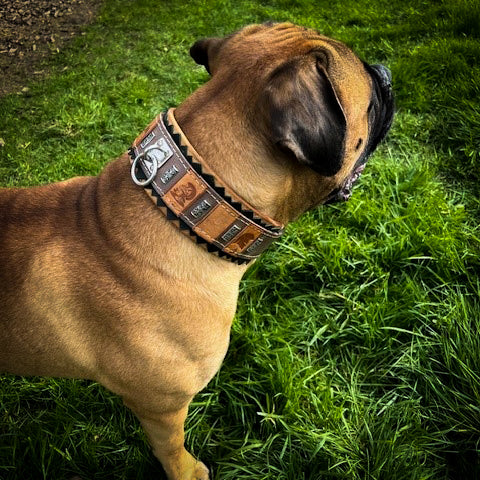Bestia SPQR Roman Italian leather dog collar, view 4