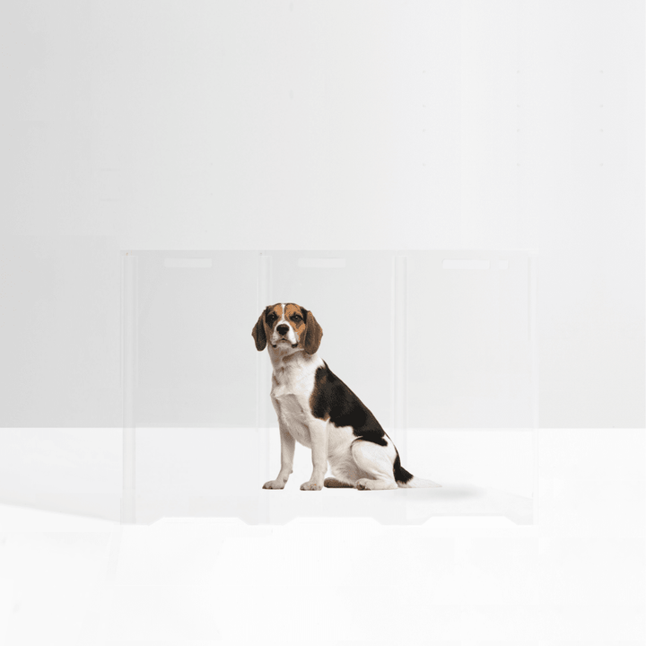 Hiddin Clear Front Pet Gate with Pivoting Side Panels