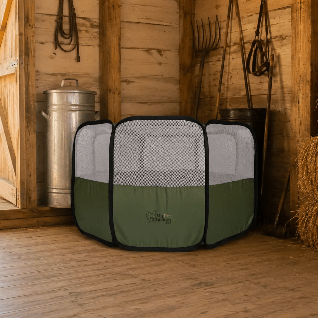 Hen Pen Starter Pop-Up Chick Brooder by My Pet Chicken, green with mesh panels.