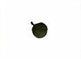 Load image into Gallery viewer, Hen Pen Starter Pop-Up Chick Brooder; round green fabric item with black strap
