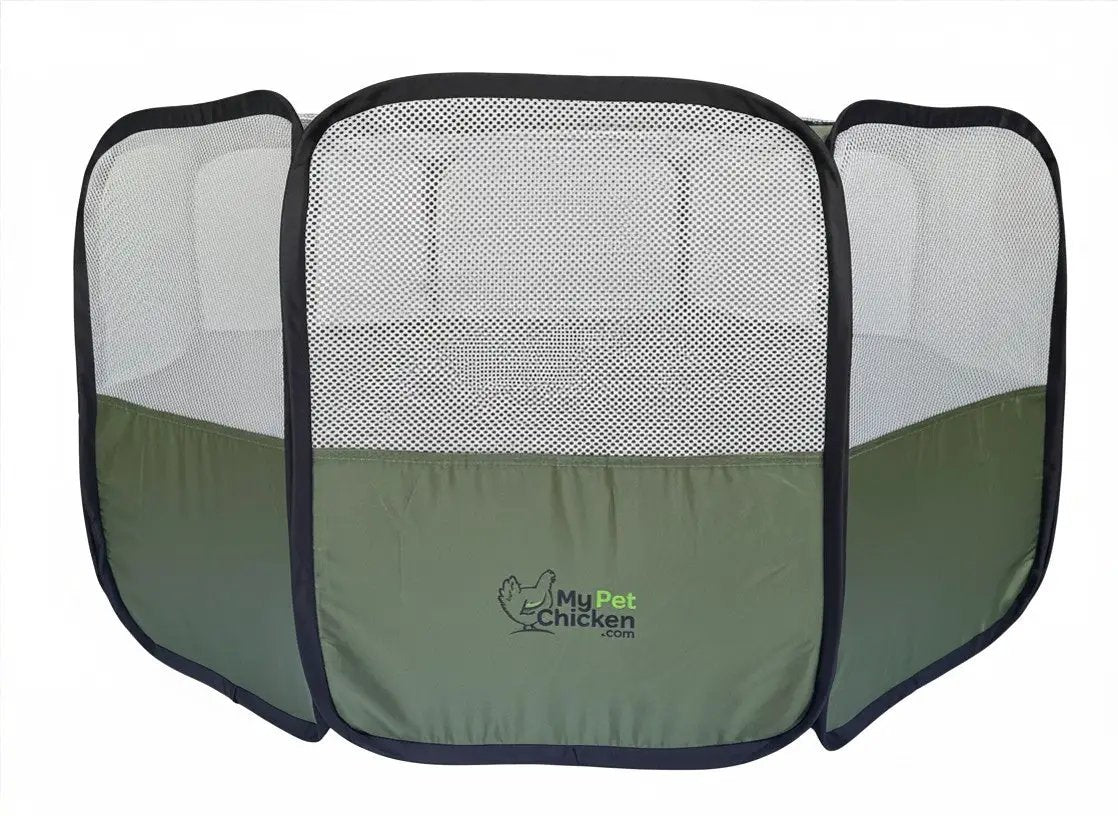 Hen Pen Starter Pop-Up Chick Brooder by My Pet Chicken; green fabric with mesh sides, portable chick habitat