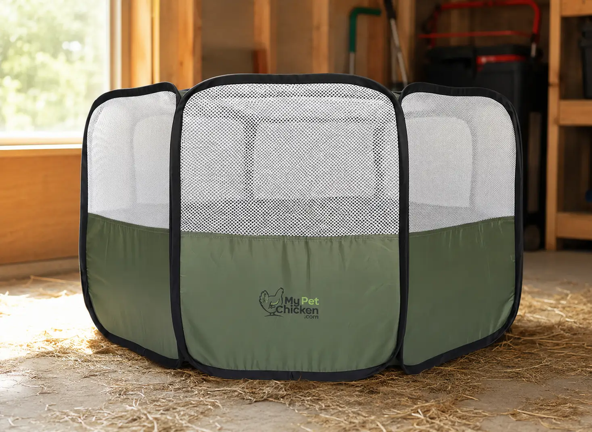 Hen Pen Starter Pop-Up Chick Brooder, green with mesh sides, My Pet Chicken