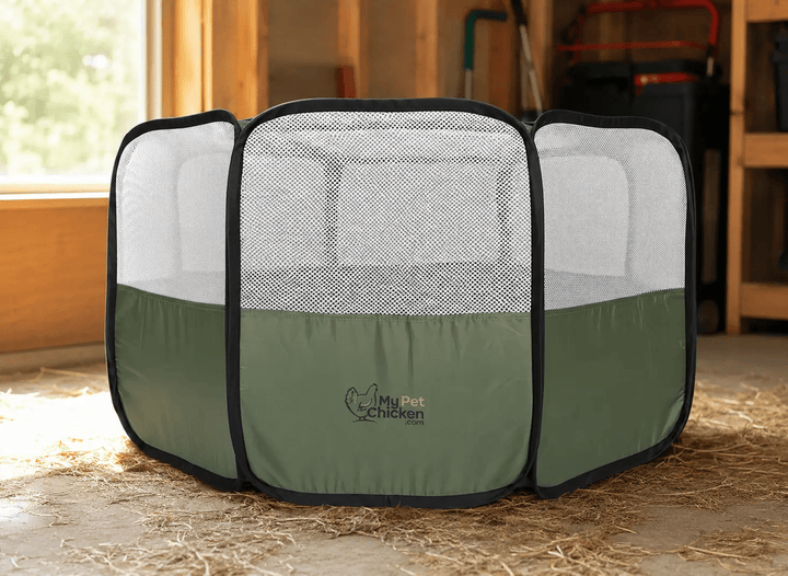 Hen Pen Starter Pop-Up Chick Brooder, green with mesh sides, My Pet Chicken