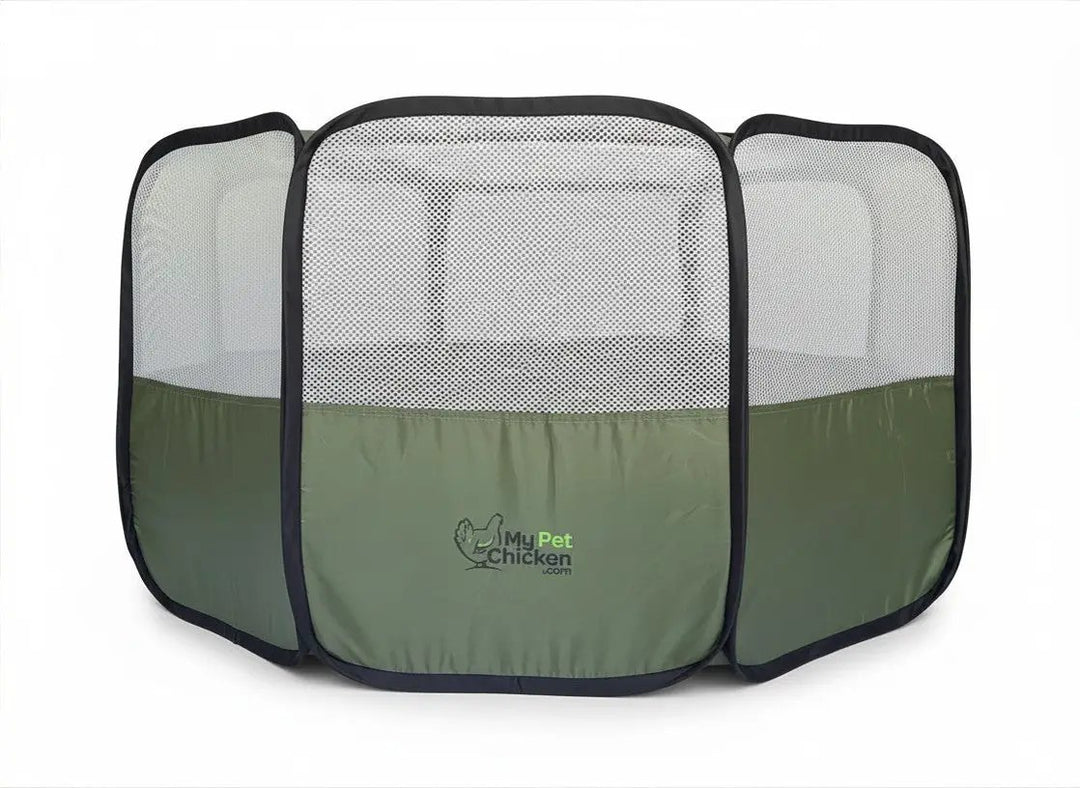Hen Pen Starter Pop-Up Chick Brooder by My Pet Chicken, green portable baby chick habitat with mesh sides.