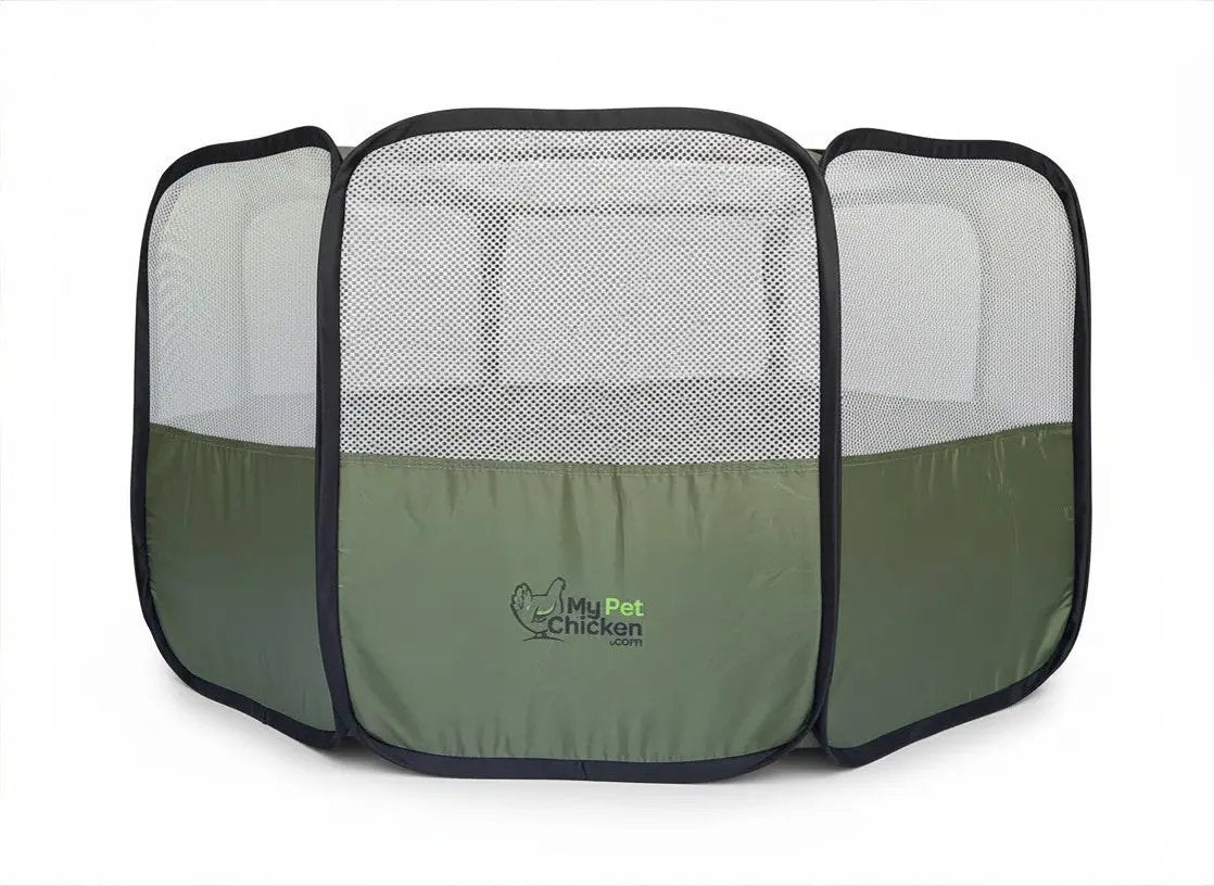Hen Pen Starter Pop-Up Chick Brooder by My Pet Chicken, green portable baby chick habitat with mesh sides.