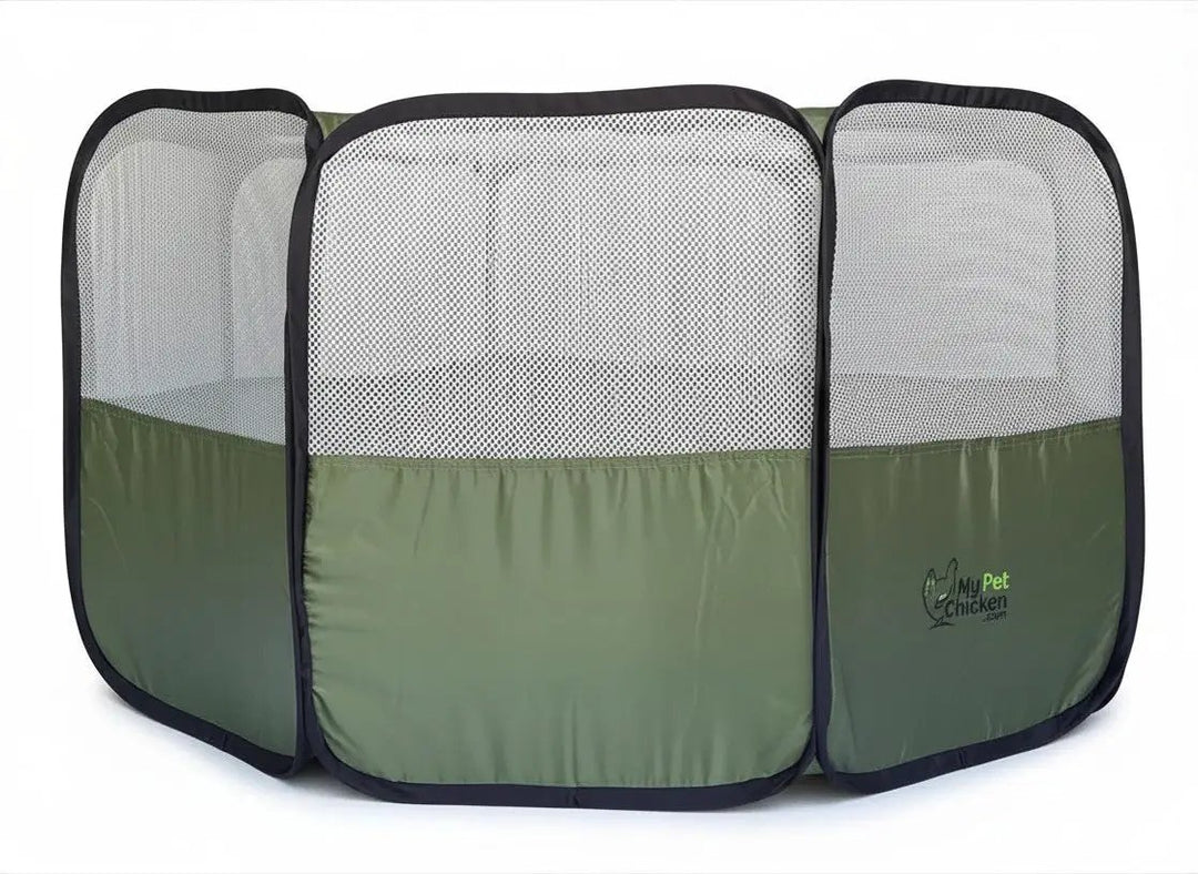 Hen Pen Starter Pop-Up Chick Brooder, by My Pet Chicken, three-panel green mesh habitat with black trim