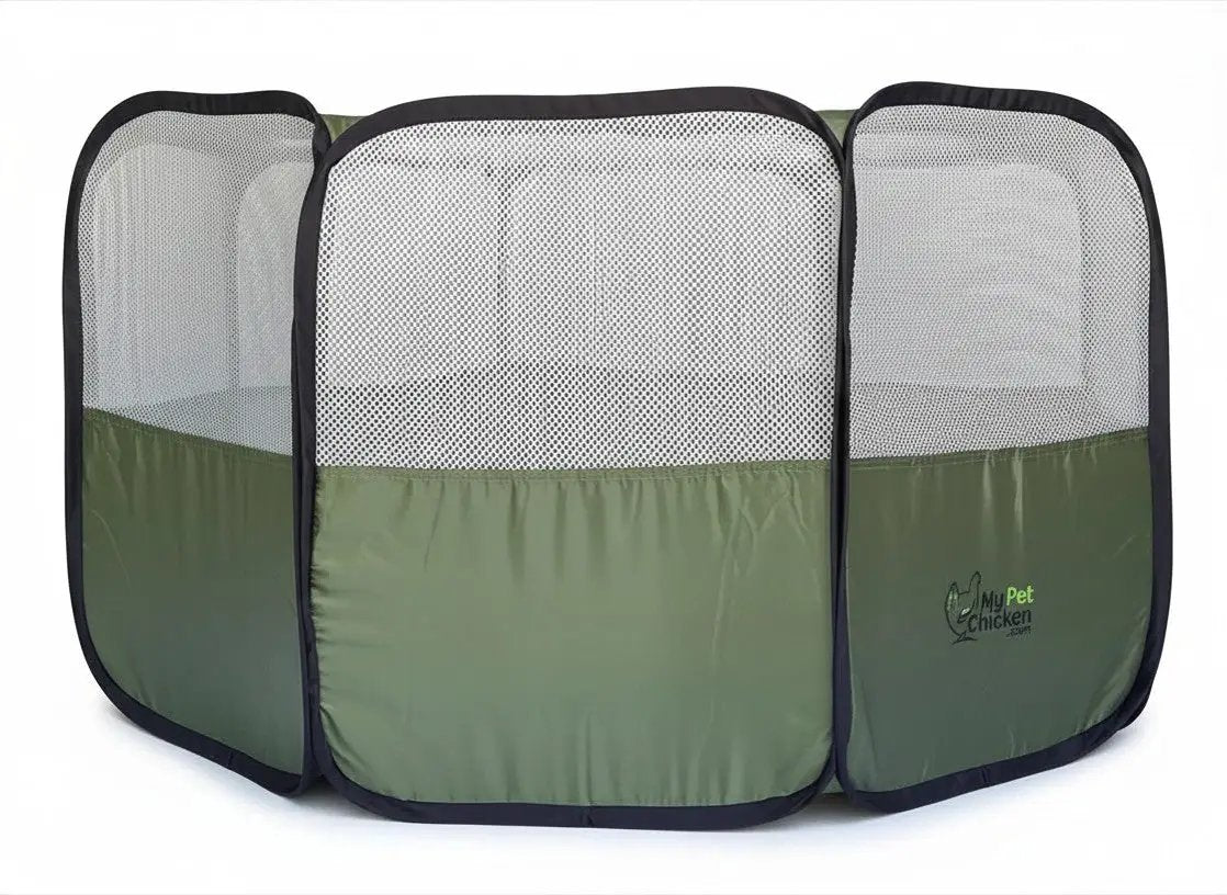 Hen Pen Starter Pop-Up Chick Brooder, by My Pet Chicken, three-panel green mesh habitat with black trim
