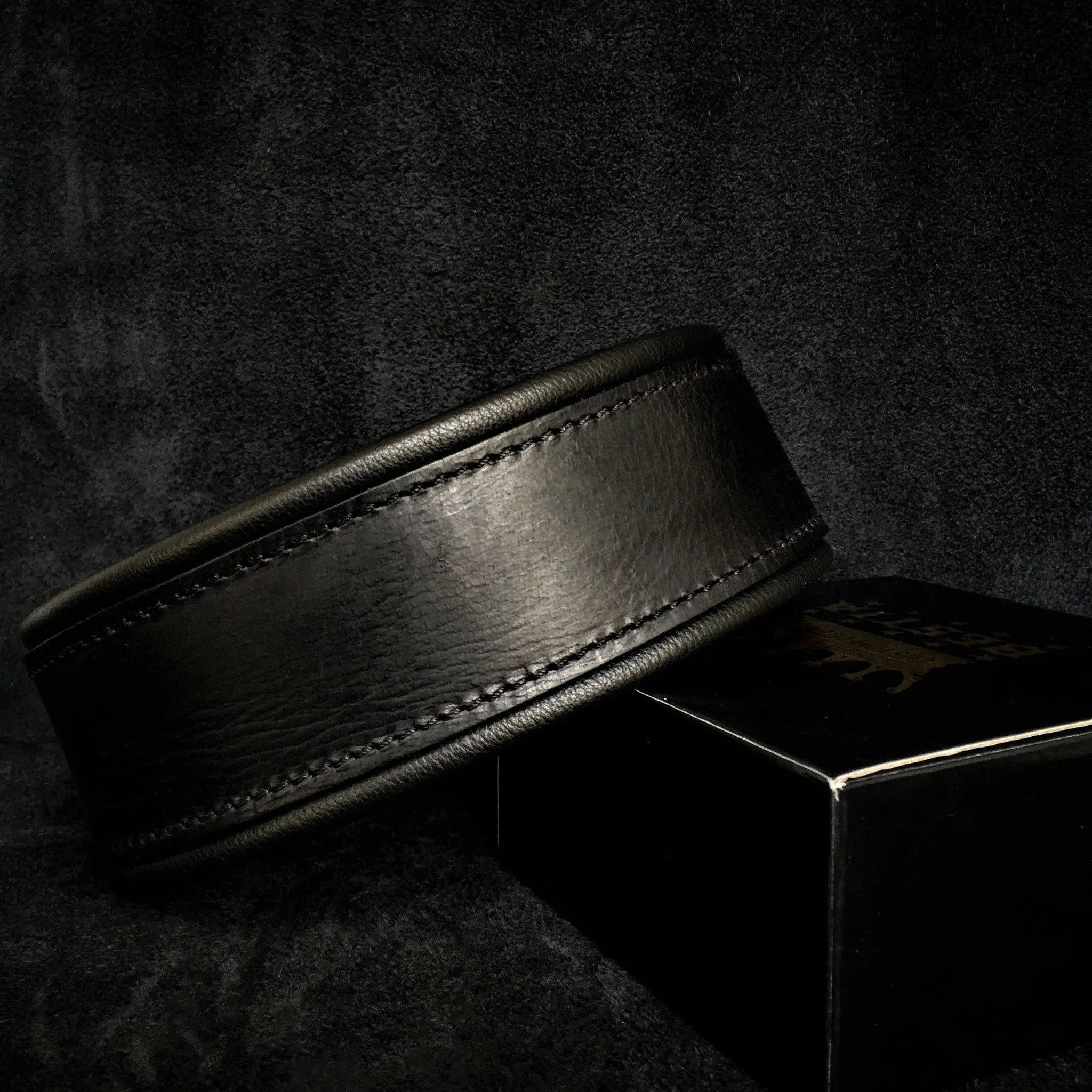 Plain "Style" Collar black - Pet Collars & Harnesses from Bestia Dog Gear