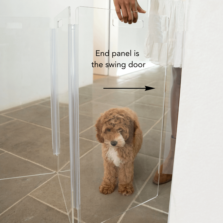 Hiddin Low Clear Acrylic Zig Zag Pet Gate – Freestanding, 24 in High