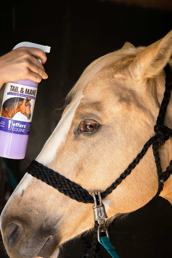 Jeffers Equine Mane and Tail Detangler and Conditioner Spray