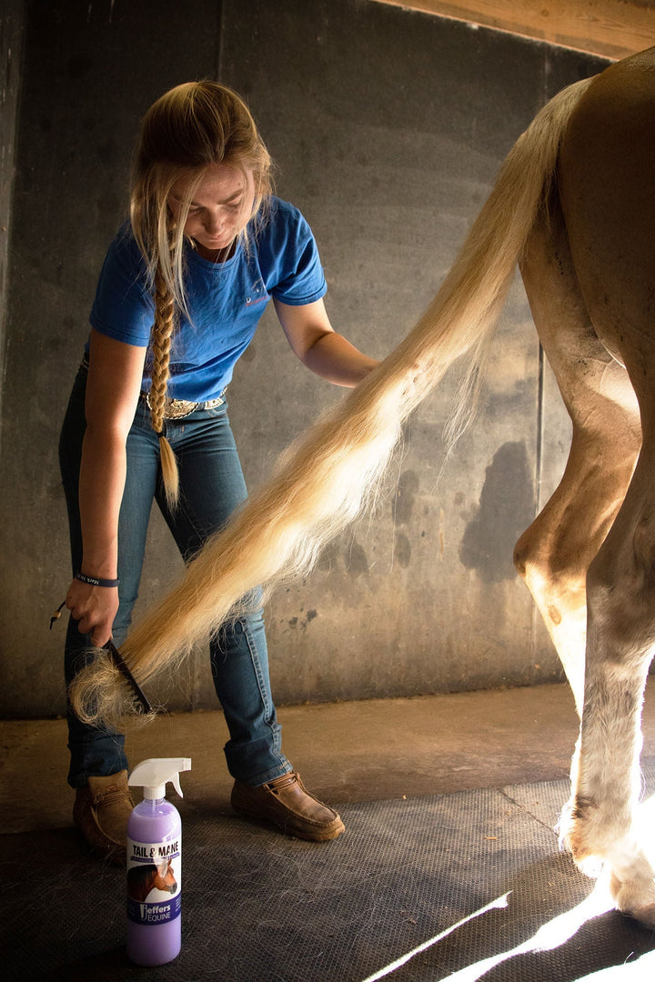 Jeffers Equine Mane and Tail Detangler and Conditioner Spray