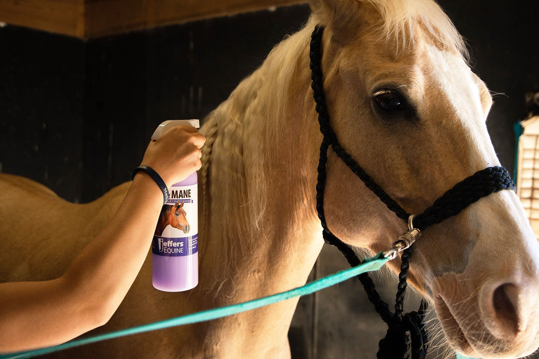 Jeffers Equine Mane and Tail Detangler and Conditioner Spray