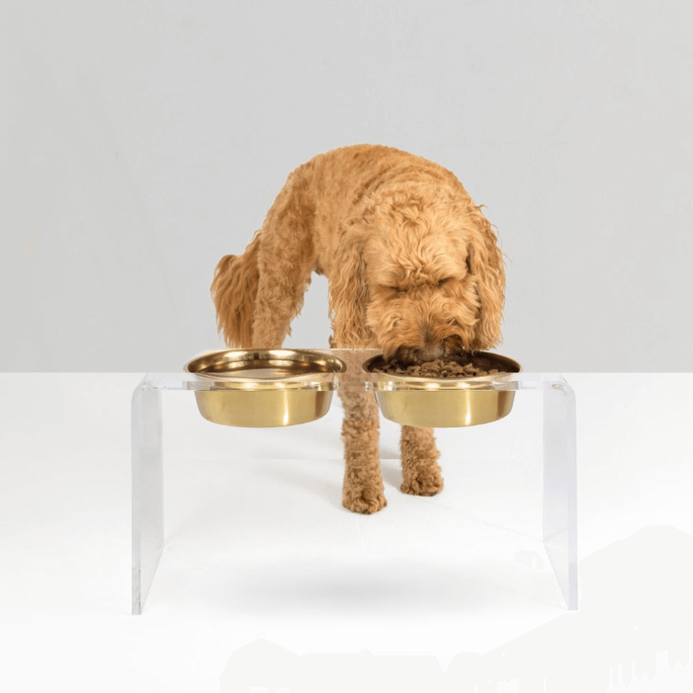 Hiddin Clear Acrylic Double Feeder with Gold Bowls – 12 in High