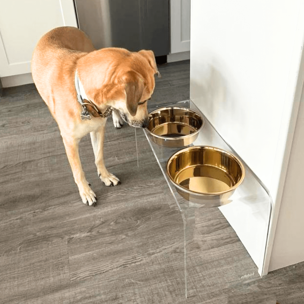 Hiddin Clear Acrylic Double Feeder with Gold Bowls – 12 in High