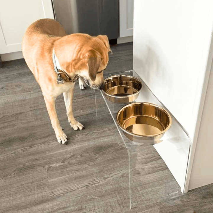 Hiddin Clear Acrylic Double Feeder with Gold Bowls – 12 in High