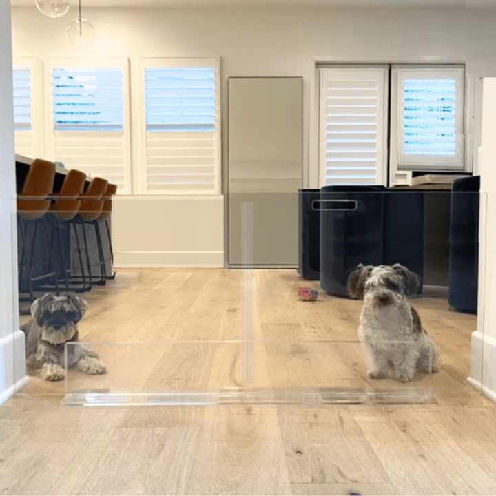 Hiddin Clear Acrylic Panel Pet Gate – Freestanding, 30 in High