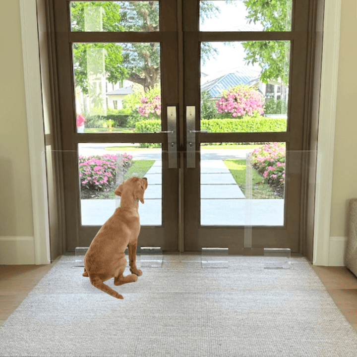 Hiddin Clear Acrylic Panel Pet Gate – Freestanding, 30 in High